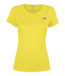 Velocitee Crew Short-Sleeve - Women`s
