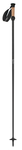 SC-1 Ski Poles 2011