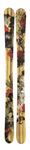 Celebrity 90 Skis 2011