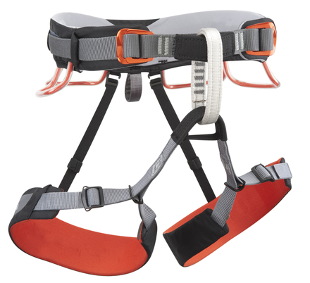 Momentum DS Harness