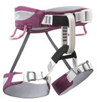 Wiz Kid Harness