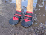 Durable Dog Boots