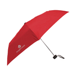 Rainaway Travel Umbrella