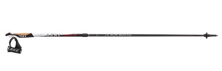 Leki Instructor Pole