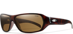 Pavillion Sunglasses - Matte Tortoise Polarized Brown