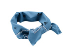Bugsaway Paisley Bandana
