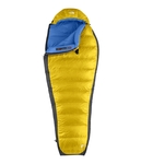 Gold Kazoo Bag