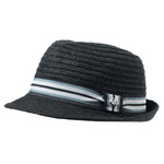 Democracy Fedora