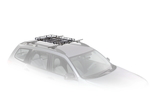 BasketCase Luggage Car Rack