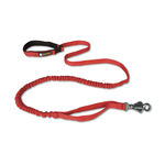 Roamer Leash
