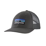 Patagonia P6 Logo LoPro Trucker Hat: FORGEGREY/FGE