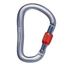 Black Diamond Rocklock Screwgate Carabiner: GRAY