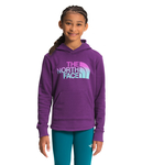 The North Face Camp Fleece Pull Over Hoody - Girl`s: GRVTYPURP/JC0
