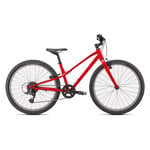 Specialized Jett 24 8 Speed Kids Bike - Gloss Flo Red/Black: FLORED/BLK