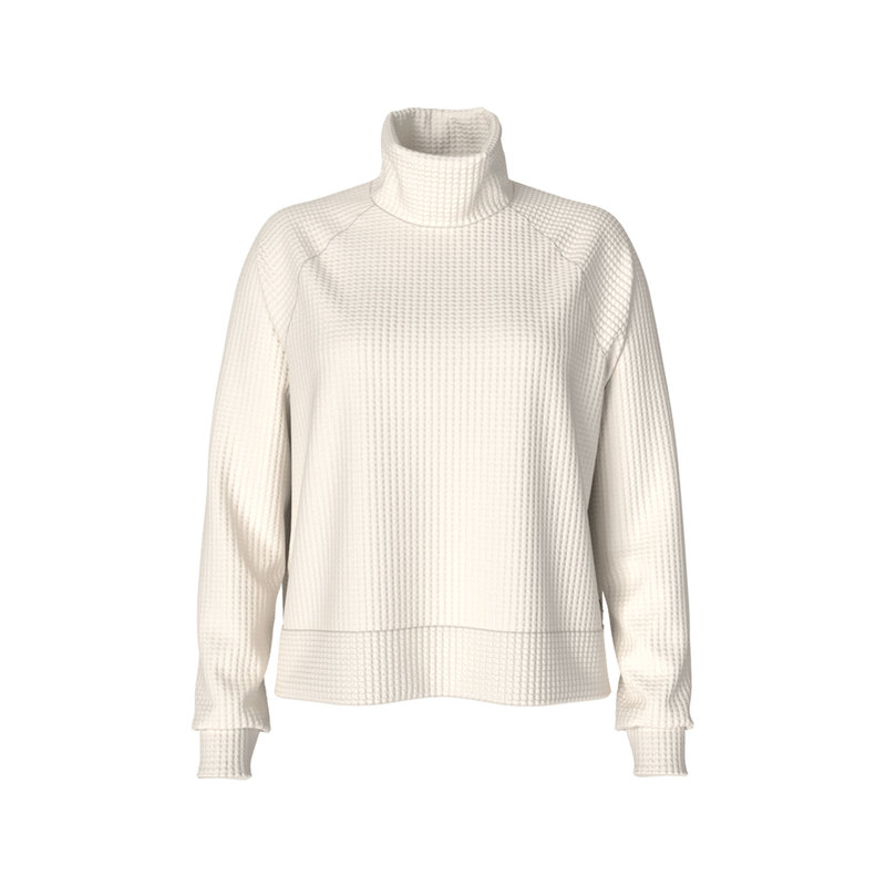 The North Face Mock Neck Long Sleeve Chabot Top - Women`s