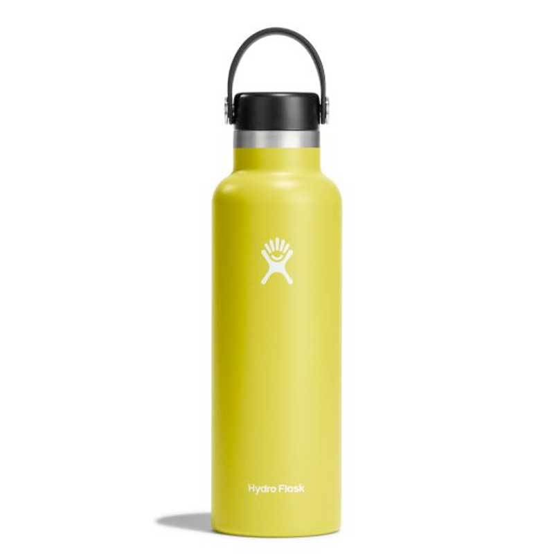 Hydro Flask Standard Mouth 21oz- Cactus