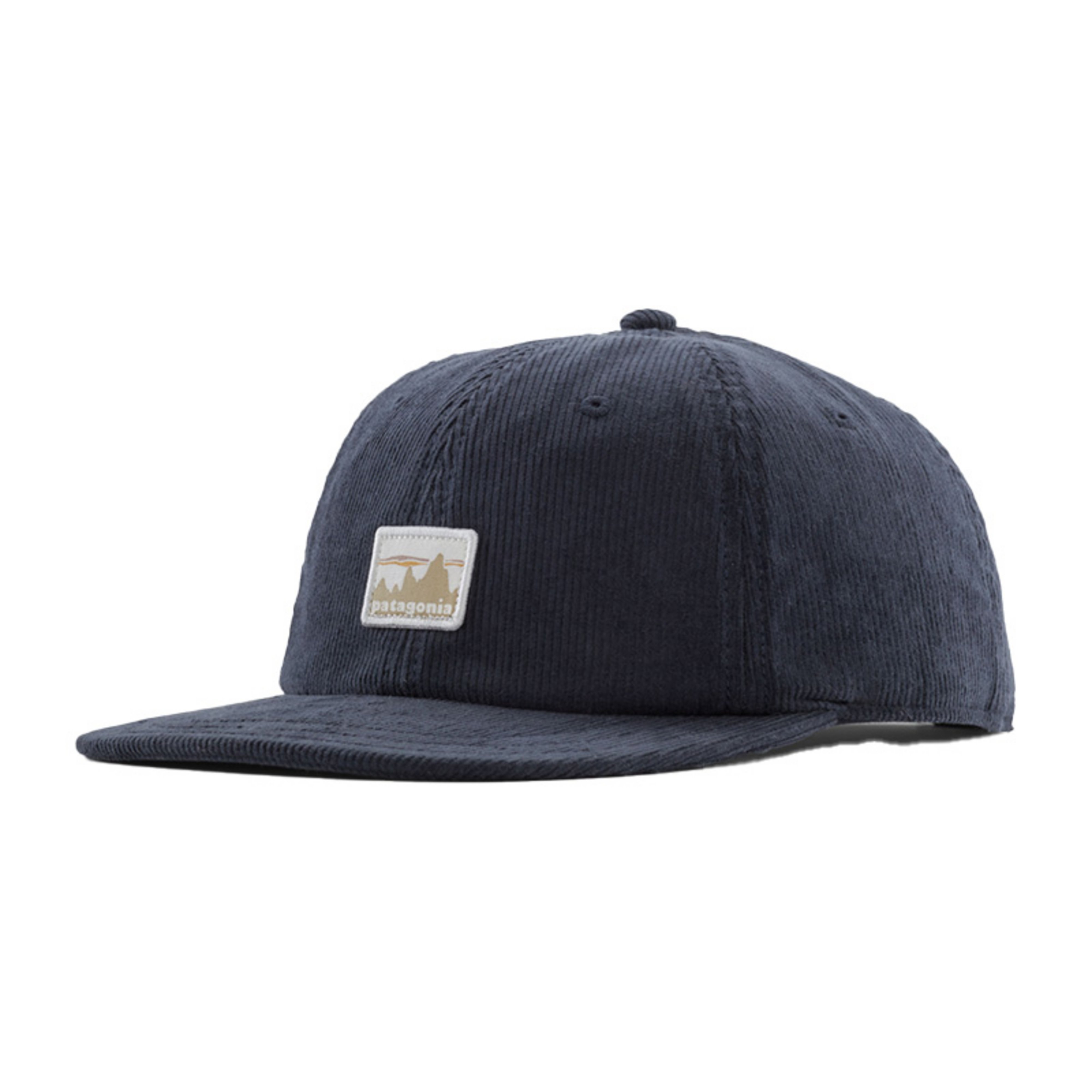 Patagonia Corduroy Cap