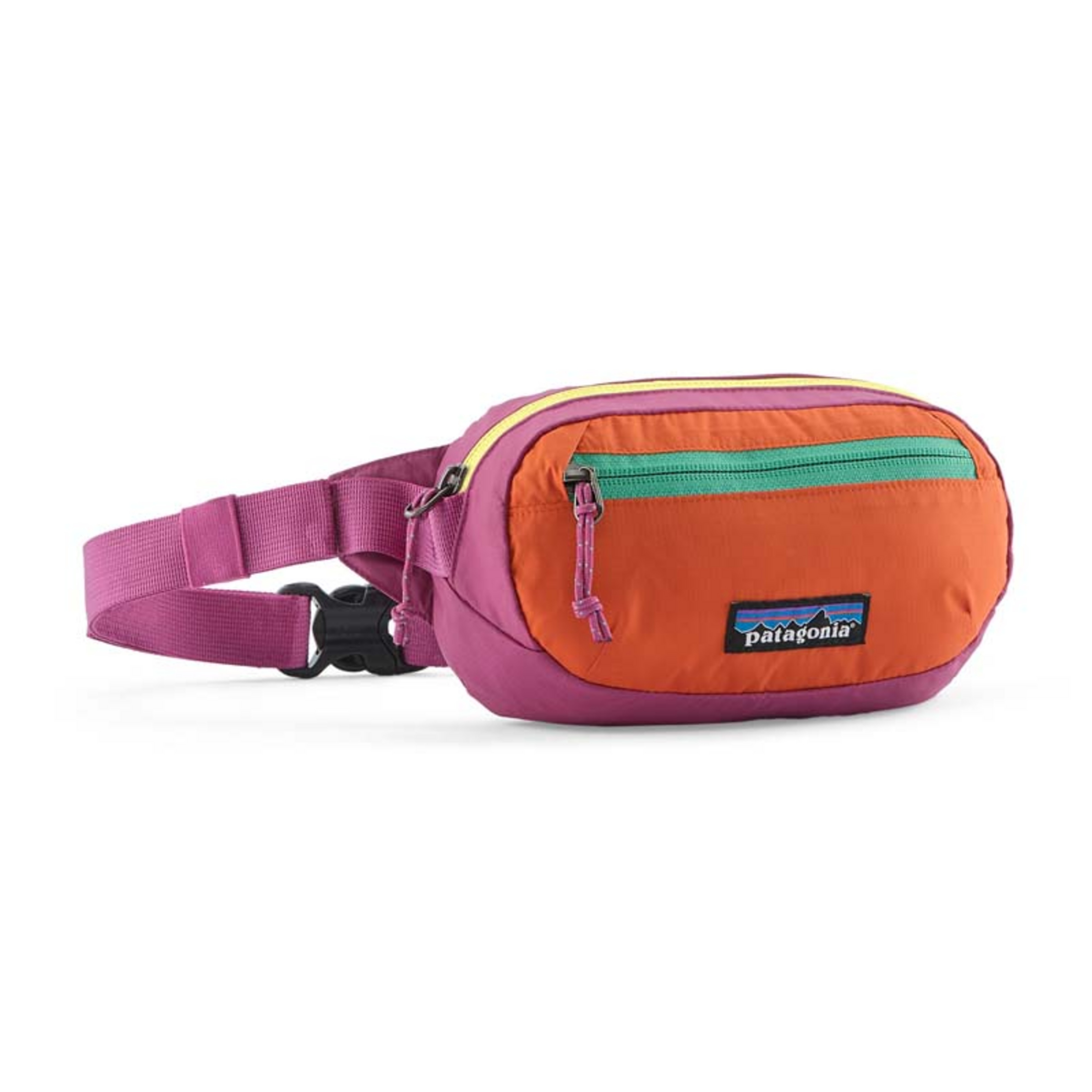 Patagonia Terravia Mini Hip Pack | Alpine Shop