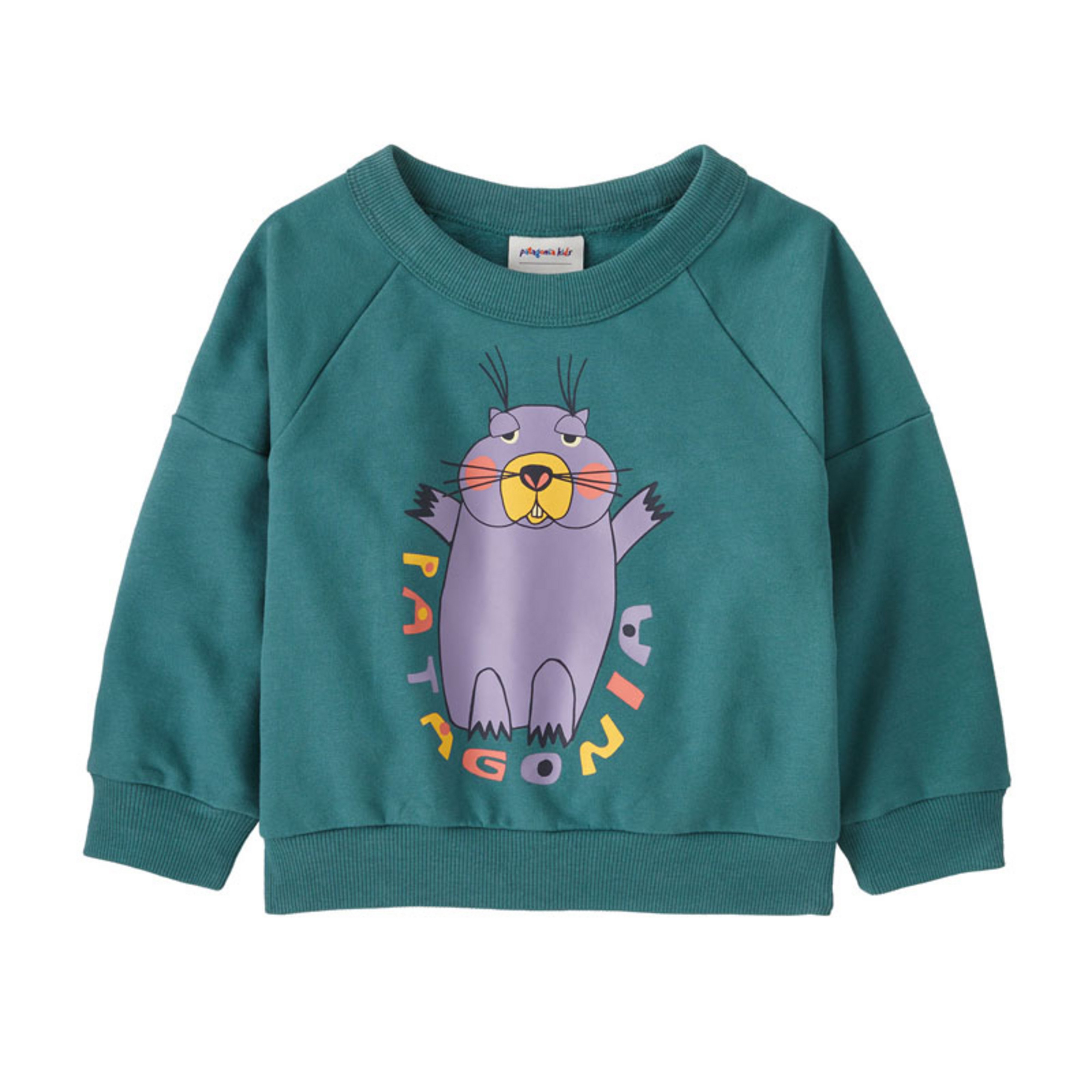 Patagonia Baby Crew Sweatshirt